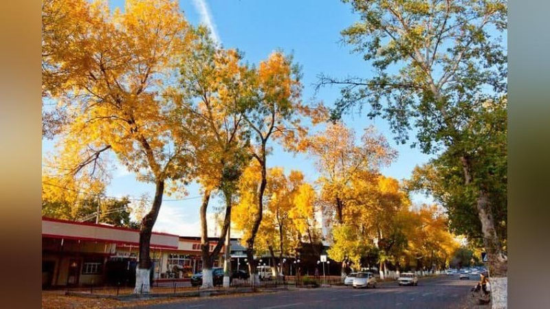 'Тошкент ҳавосидаги чанг миқдори нормал кўрсаткичга қайтди – "Ўзгидромет"'ning rasmi