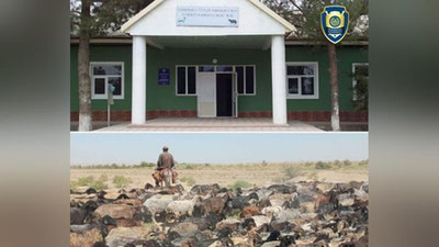 'Қашқадарёда  2 429 бош чорва молларини "еб юборган"  собиқ директор фош этилди'ning rasmi