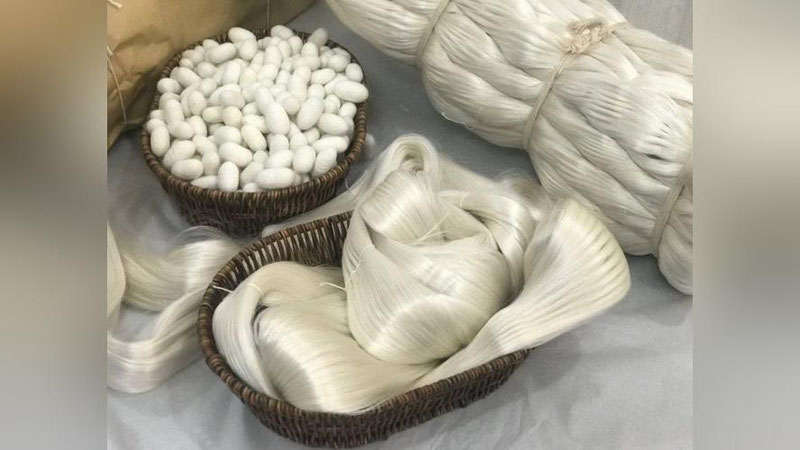 'Минглаб иш ўрни яратган Қашқадарёдаги ипакчилик корхоналарига саёҳат қиламиз'ning rasmi