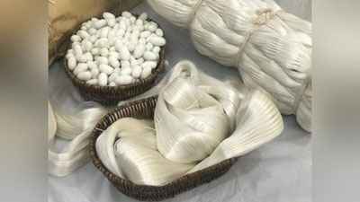 'Минглаб иш ўрни яратган Қашқадарёдаги ипакчилик корхоналарига саёҳат қиламиз'ning rasmi