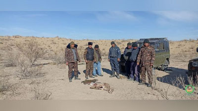 'Қорақалпоғистонда қўриқхонадан жайрон овлаётган браконерлар ушланди'ning rasmi