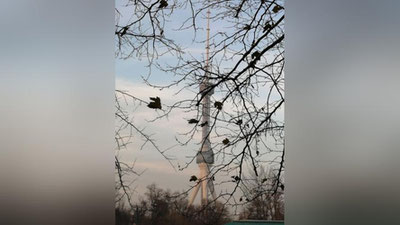 Изрображение 'В столице +9 и возможен дождь: погода на 25 декабря'