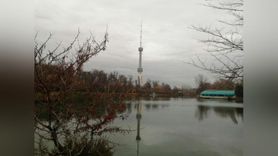 Изрображение 'В Ташкенте днем без осадков: погода на 23 декабря'