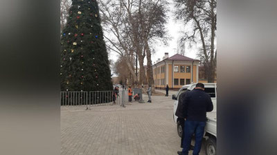Изрображение 'В Самарканде новогоднюю елку "сконструировали" из веток рядом стоящих сосен (видео)'