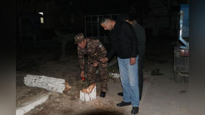 Изрображение 'По факту вырубки деревьев в Андижане возбуждено уголовное дело'