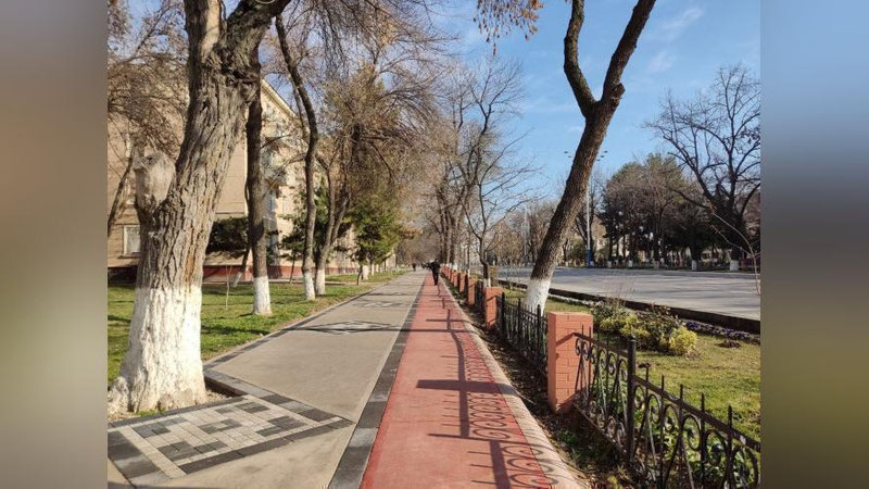 Изрображение 'В Ташкенте воздух прогреется до +12: погода на 21 января'