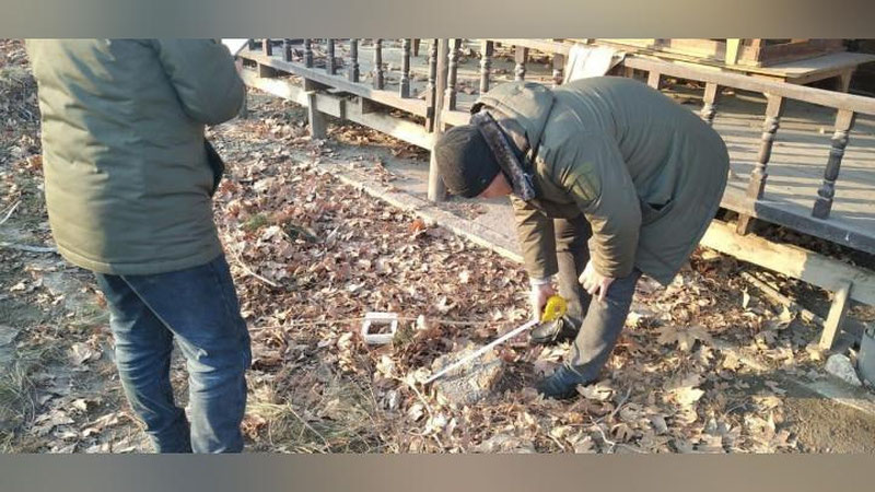 Изрображение 'Прокуратура изучает случай самовольной вырубки деревьев в Асаке'