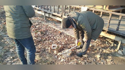 Изрображение 'Прокуратура изучает случай самовольной вырубки деревьев в Асаке'