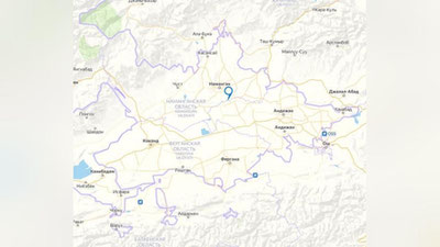 Изрображение 'В Минэнерго временно отменили плановый ремонт ЛЭП в Ферганской долине'