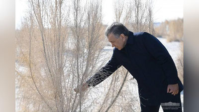 'Биз шу мураккаб шароитда экиш бўйича катта тажриба орттирдик — Мирзиёев Орол денгизининг қуриган жойига бориб, вазиятни кўздан кечирди (фото)'ning rasmi