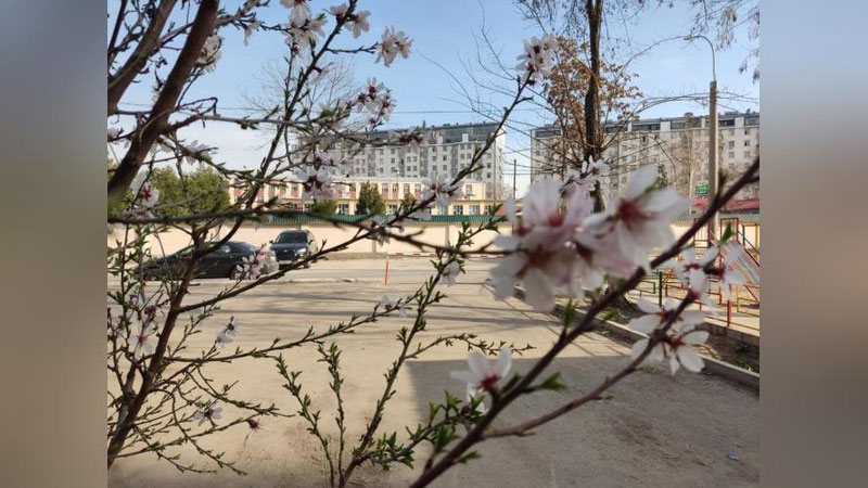 Изрображение 'В Узбекистане солнечно и тепло: погода на 30 марта'
