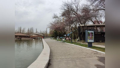 Изрображение 'В Узбекистане местами дождь, возможна гроза: погода на 11 марта'