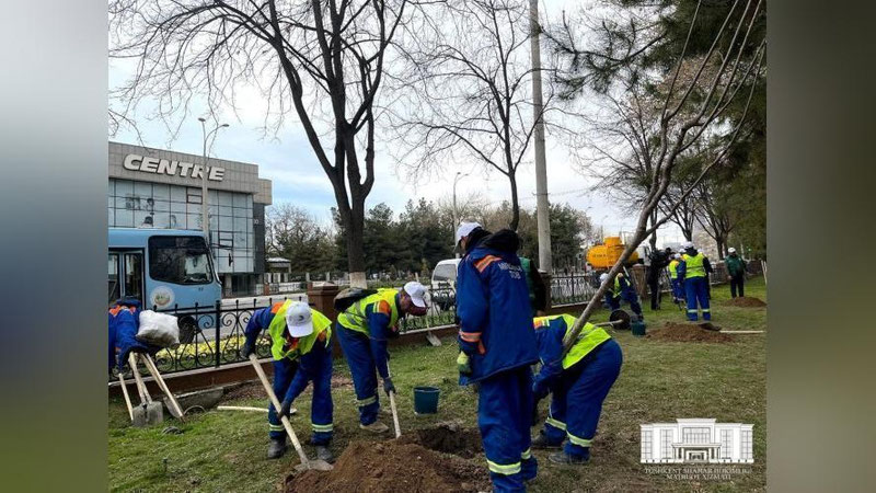 Изрображение 'В Ташкенте приступили к озеленению обочин самых оживленных улиц города'