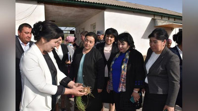 'Ўзбекистон бўйлаб “Оналар  яшил макон учун!” умуммиллий акцияси ўтказилмоқда'ning rasmi