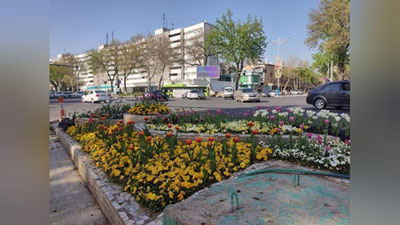 Изрображение 'В Узбекистане без осадков, лишь на севере кратковременный дождь: погода на 16 апреля'