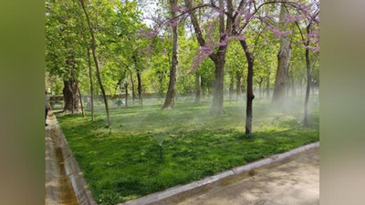 Изрображение 'В Ташкенте до +31: погода на 30 апреля'