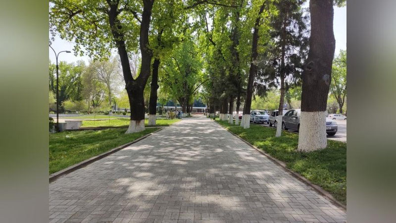Изрображение 'В Ташкенте воздух прогреется до +36: погода на 8 июля'