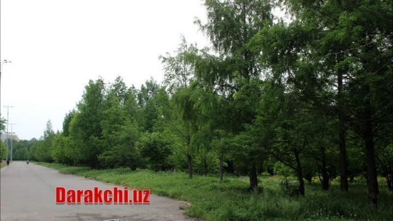 'Дам олиш кунлари ҳарорат пасайиши кутилмоқда — "Ўзгидромет"'ning rasmi