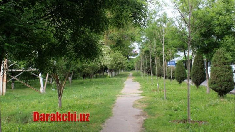 '"Кавказ ҳудудларидан нам ҳаво..." Ўзбекистонда дам олиш кунлари об-ҳаво қандай бўлиши маълум қилинди'ning rasmi