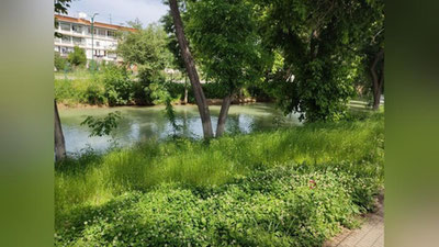 Изрображение 'Ожидается ли в Ташкенте дождь: погода на 11 мая'