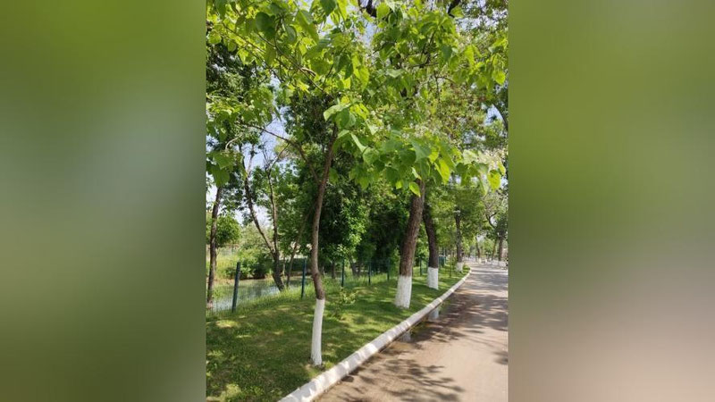 Изрображение 'В Ташкенте потеплеет до +32: погода на 7 мая'