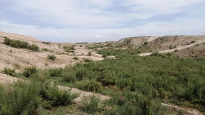 Изрображение 'В Узбекистане воздух прогреется до +33: погода на 24 мая'