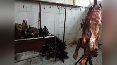 'Чорсу бозорида "рейд"га тушган 400 тонна сифатсиз гўшт маҳсулотлари йўқ қилинди'ning rasmi