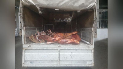 Изрображение 'На рынке Чорсу нашли и утилизировали непригодную к употреблению мясную и молочную продукцию'