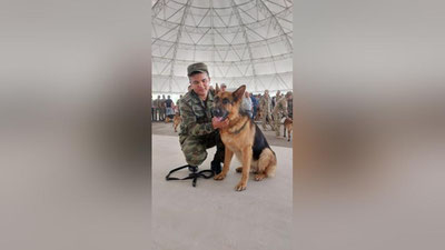 Изрображение 'Выставка служебных собак прошла в Парке Победы в Ташкенте (фото)'