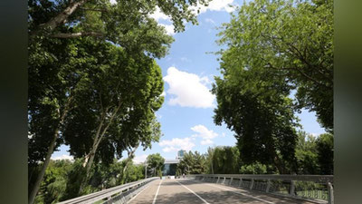 Изрображение 'В Ташкенте до +26, вечером возможна гроза: погода на 29 мая'