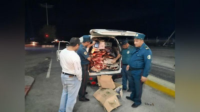 'Қашқадарёда номаълум ҳайвон гўштини олиб кетаётган машина ушланди'ning rasmi