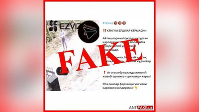 Изрображение 'Распространенное видео с нападением собак на мальчика в Нукусе назвали фейковым'