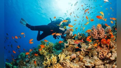 'Turkiyaning eng manzarali suv osti mo``jizalari joylashgan manzillari'ning rasmi