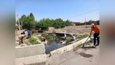 Изрображение 'В хокимияте Янгихаётского района отреагировали на сообщения об убитых кошках в канаве'