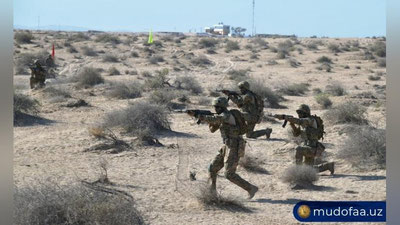 Изрображение 'В Сурхандарье завершились совместные узбекско-таджикские учения (фото, видео)'