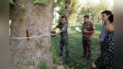 Изрображение 'В Госкомэкологии подтвердили факт повреждения деревьев в Нацпарке, не уточнив их количество'