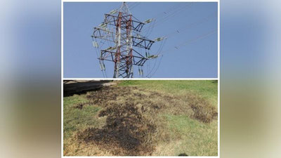 Изрображение 'В Алмазарском хокимияте рассказали подробности "взрыва" столба (видео)'