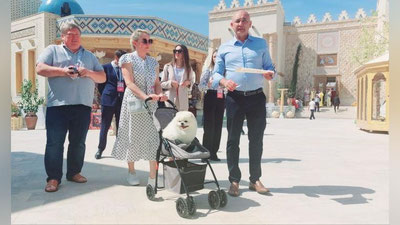 'Lukashenkoning kuchugi ham Samarqandda'ning rasmi