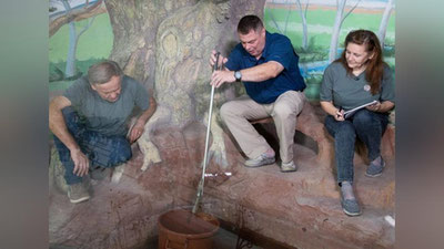 Изрображение 'Российский телеведущий Иван Затевахин снимает 16-серийный фильм о Ташкентском зоопарке'