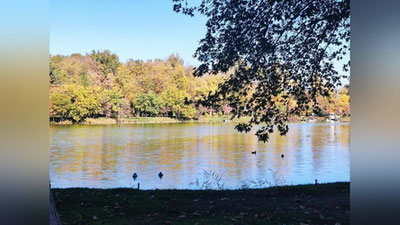 Изрображение 'В Узгидромете озвучили предварительный прогноз на наступающий ноябрь'