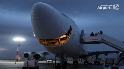 Изрображение 'В ташкентском аэропорту встретили первый самолет грузовой авиакомпании My Freighter'