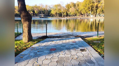 Изрображение 'В Ташкенте днем без осадков: погода на 27 октября'