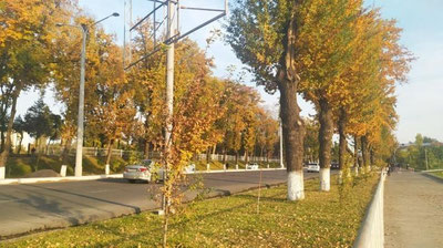 Изрображение 'Какая погода нас ждет на выходных?'