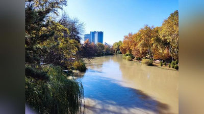 Изрображение 'В Ташкенте днем +12: погода на 26 ноября'