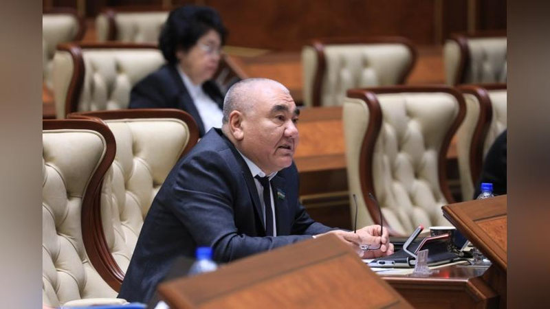 'Senat yalpi majlisida senator Energetika vazirligiga odamlarni qiynayotgan tok muammosi haqida savol qo`ydi'ning rasmi