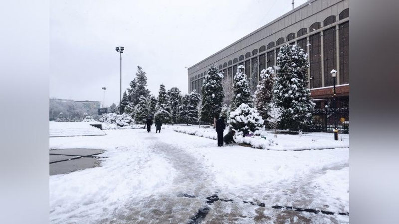Изрображение 'Минздрав Узбекистан дал рекомендации в преддверии аномальных холодов'