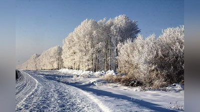 '"Бир булдуруқ, уч қорга татийди" Зоминда кучли "булдуруқ" ҳодисалари кузатилмоқда'ning rasmi