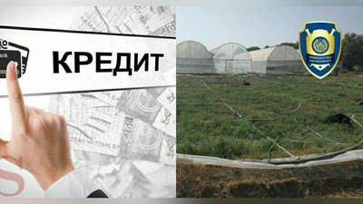 'Shahrisabzda imtiyozli kreditni o`zlashtirgan MChJ rahbari aniqlandi'ning rasmi