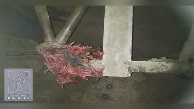 Изрображение 'Запущенный возле рельсов китайский фонарик стал причиной остановки в Чиназе скоростного поезда'