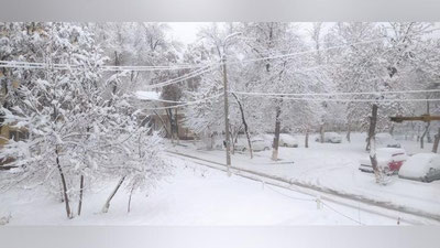 Изрображение 'Зима еще здесь: температурный спад в Узбекистане составит почти 20 градусов'